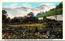 Mt Pisgah Clouds Camp Laurel Land Sky WB Postcard VTG UNP Curt Teich Vintage picture