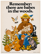 Vintage 1970 Forest Remember there are babes in the woods USDA Poster 13x18.5 picture