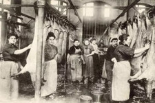 Parisian Abattoir - La Villette 1908 4x6 Illustration Photo picture