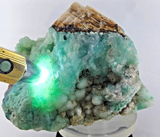 15cms DRUZY CHRYSOCOLLA GEM SILICA BOTRYOIDAL LILY MINE PERU DB94 picture