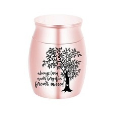 Mini Urn for Human Ashes - 1.2