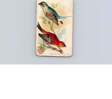 1880s-90s Arm & Hammer Beautiful Birds Indigo Bunting No 58 picture
