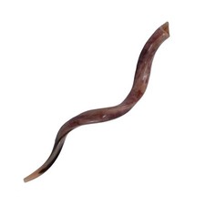 SHOFAR Sale For 40