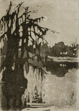 Helen Hyde Cypress Trees Vintage 1910s Nature Photo Reprint Wall Art picture