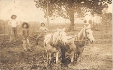 TEAM OF WHITE HORSES TOWING metropolis il. real photo postcard rppc. illinois picture