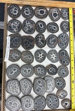 Wholesale Lot 18 Pairs Of Septarian Nodule picture