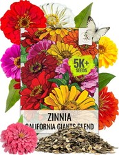 Seed Needs Zinnia Seeds California Giants Mix 5,000 Seeds Bulk Pack picture