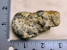 Lone Mountain Turquoise Rock Specimen Stone Mineral Display Piece 65 Gram 27-18 picture