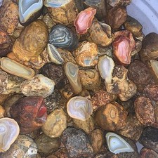 Island Agate #1 Medium (Price per pound) picture