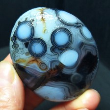 Rare 81.5G Natural Gobi Agate Eyes Agate/stone Madagascar A1920 picture
