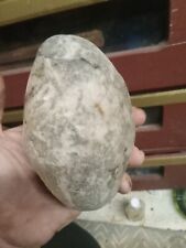 real fossilized dinosaur egg picture