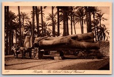 Memphis The Colossal Statue of Ramses II Cairo Egypt Palm Trees Postcard picture