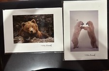 Tom Soucek Photographs on note cards, Polar bear, brown bear picture