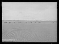 Rolling Fork,Mississippi,MS,Sharkey County,Farm Security Administration,FSA,2 picture
