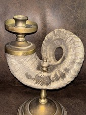 Antique French Brass Ram Horn Candlestick Holder Cornucopia Gothic Pricket 10