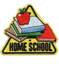 Girl Boy HOME SCHOOL Fun Patches Crest Badge SCOUT GUIDE Learning from Schooling picture