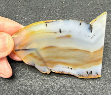 Montana Agate unfinished slab, great for cabbing 2.33oz (#1089) picture
