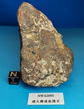 282g NWA 2965 Enstatite Chondrite Meteorite Fossil Specimen From Algeria picture