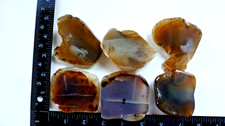Yellowstone Montana Moss Agate end cut slabs 16 oz Beautiful picture