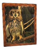 Nice Vintage MCM Short Eared Owl Shellac Wood Large Wall Plaque 19“ X 16“   picture