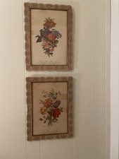 Vintage Botanical Floral Prints Pair Ornate Carved Wood Frames Cottage Decor picture