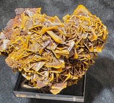 Wulfenite Crystal Cluster Ojuela Mine Durango Mexico 91g 2.25
