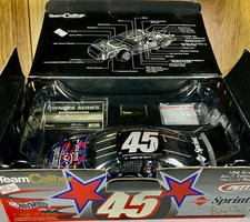 Team Caliber 124 Kyle Petty 2001 Charity Ride No 45 Owners Series Die-Cast picture