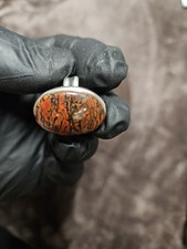 Gem Dinosaur Bone. Ring Size 7. Utah Dinosaur Bone Fossil 925 Silver picture