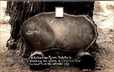 Rppc Richardson Grove State Park Tree Garberville California CA Unp Postcard picture