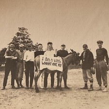 Antique B&W Snapshot Group Photograph Young Men Baseball Donkey I Am A Long Sign picture