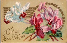 Antique Greeting Postcard Best Wishes Red Pink White Flowers Embossed c1910 picture