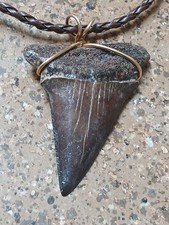 Shark Tooth Necklace Mako Wirewrap Braided Gold Filled By Jim Fowler New picture