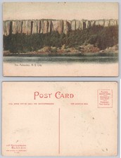 The Palisades NYC Postcard Undivided Back Rotograph Co. Printed Germany c1905 picture