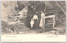 1903 Idlewhile Spring Betterton MD Postcard - H. Rinn Jr. Early RPPC picture