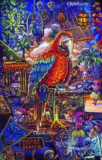 CBjork 13 x 19