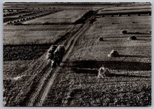Fields Horse Wagon, Aschersleben Germany 2002 Landscape Black & White picture