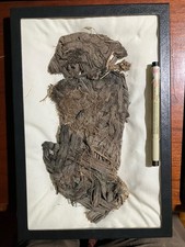 Four (4x) Sandals, Cordage. 5 Riker Cases. Anasazi - Mogollon picture