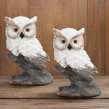 2-PC Gift Set 4.5