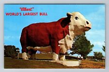 Audubon KS-Kansas, Albert World's Largest Bull, Antique, Vintage Postcard picture