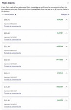 Southwest Airlines $75-1K Transferable Flight Credit - Fast Transfer picture