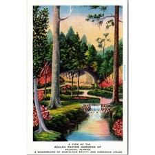 A View of the Azalea Ravine Garden of Palatka FL Vintage Postcard SPJ1 picture