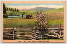 Postcard Greetings From Siloam Springs, Arkansas Unposted picture