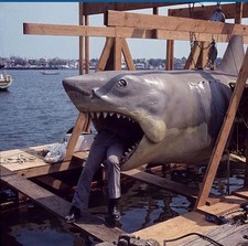 Behind-the-scenes footage of the movie Shark (Jaws, 1975), Photo 8.5x11 Luster picture