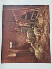 Sk289 Ephemera Book Picture 1930s Kind Enquiries  picture