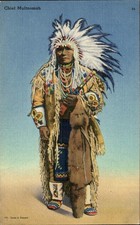 Chief Multnomah Angelius Commercial Studio c1920s-30s Vintage Postcard picture