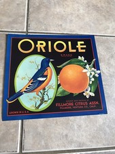 Oriole Brand Oranges Fruit Crate Label Original 1930 Filmore Citrus BRIGHT picture