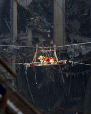 9/11 Ground Zero K9 Rescue Dog Riley WTC 8x10 Glossy Historical Photo Print picture