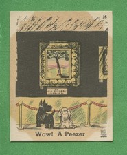 Wow A Peezer 1937 Dogs by Zito No 16 Scottie Museum Art Trading Card picture
