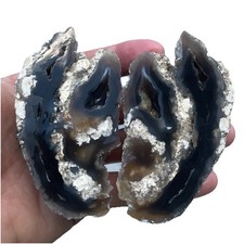 Agatized Corral Geode Tampa Bay Florida 2 Piece Geode Split picture