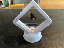 Cummingtonite - mineral sample Gift in white floating display case picture